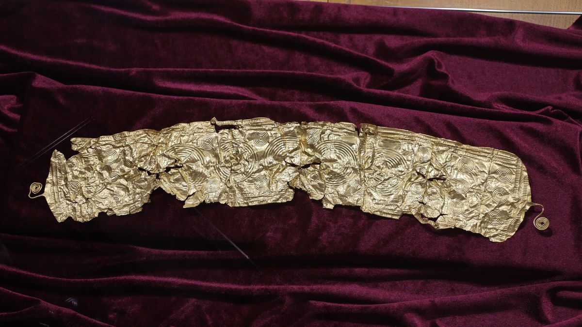 Nález zlata na Opavsku: Muž sklízel řepu a našel půlkilový diadém z doby bronzové